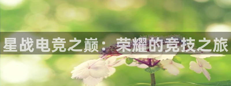 多宝电竞(体育)官方网站：星战电竞之巅：荣耀的竞技之旅