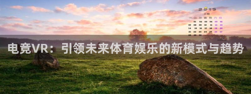 多宝电竞有名嘛：电竞VR：引领未来体育娱乐的新模式与趋势