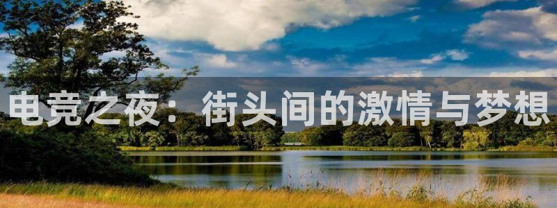 多宝电竞入口：电竞之夜：街头间的激情与梦想
