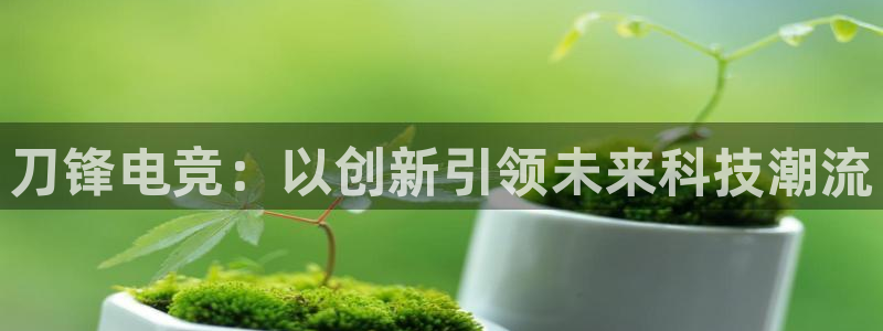多宝电竞有名嘛：刀锋电竞：以创新引领未来科技潮流